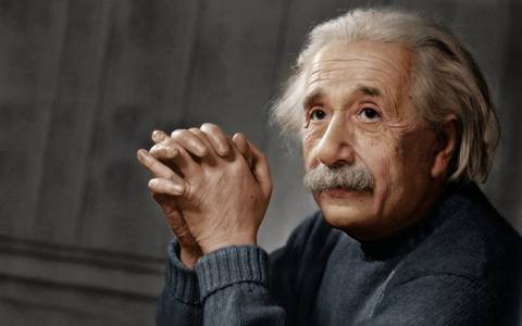 EINSTEIN-0417-Social.jpg.480x0_q71_crop-scale